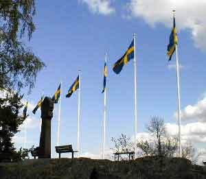 swedish flags